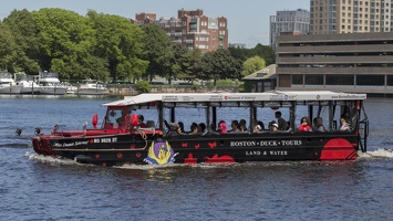 403-3877 Charles River Cruise - Boston Duck Tours